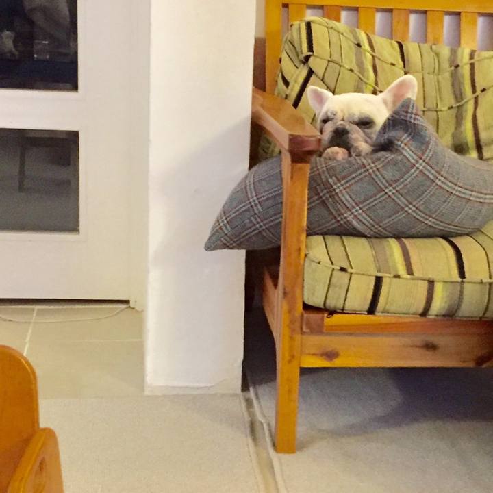 9bf4da10 2636 4480 adaa 0315639facd6 1513077779743