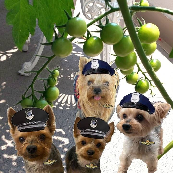 9bf4f1ae f58f 4754 b065 fb85cd0de756 1654823859327