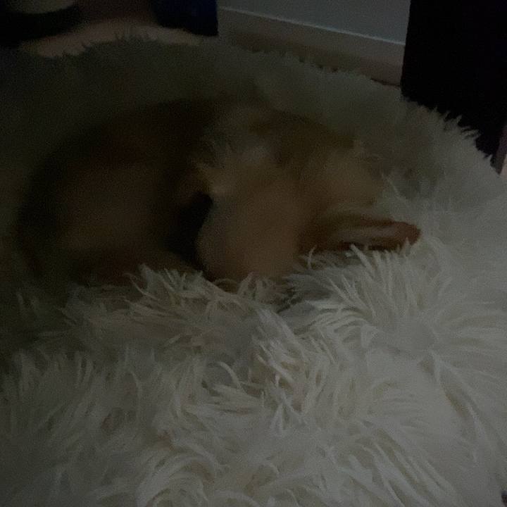 9bf504ff 2a46 4b11 86bd 31b291292d16 1628973831502