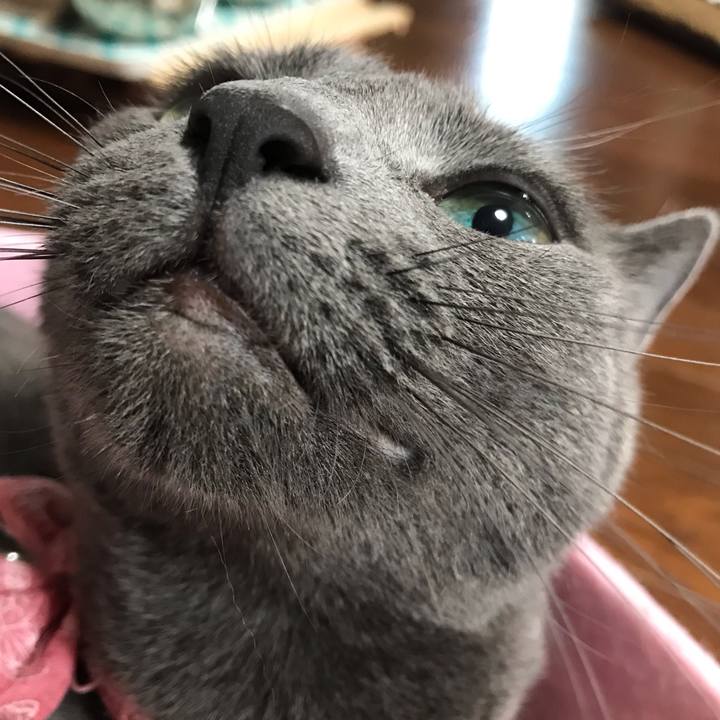 9bf50a79 847e 48b9 9be5 15ac0de5216b 1562393605992