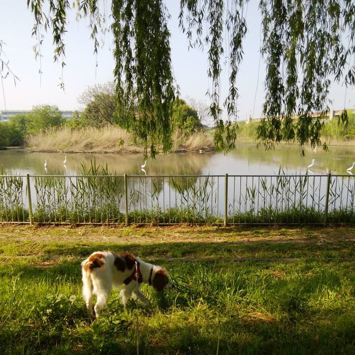 9bf53c2b 2d77 40df 9c9a 8e7699019967 1524485948675