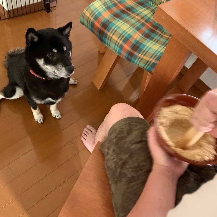 9bf5b192 a0e1 4b38 a9da 6bbe9620c04f 1597038228754