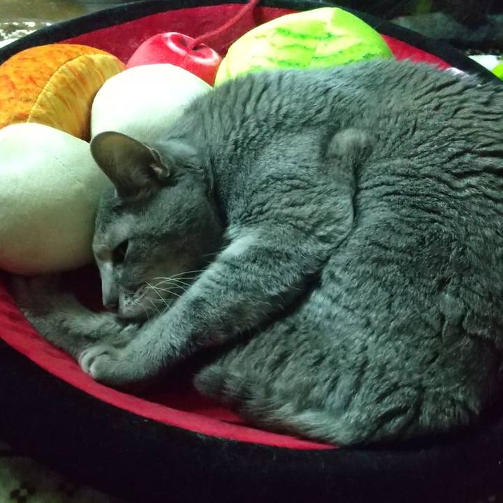 9bf5bba5 2823 4118 8f9a adf58585efaf 1680525161977