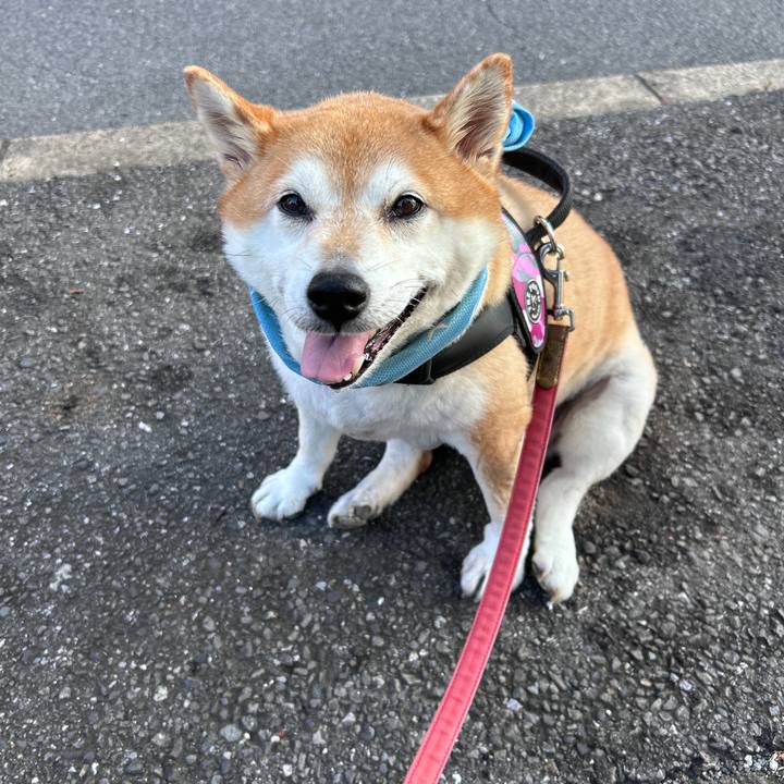 9bf5d12c e5c8 4977 a3b7 5115a3bce098 1726613612404