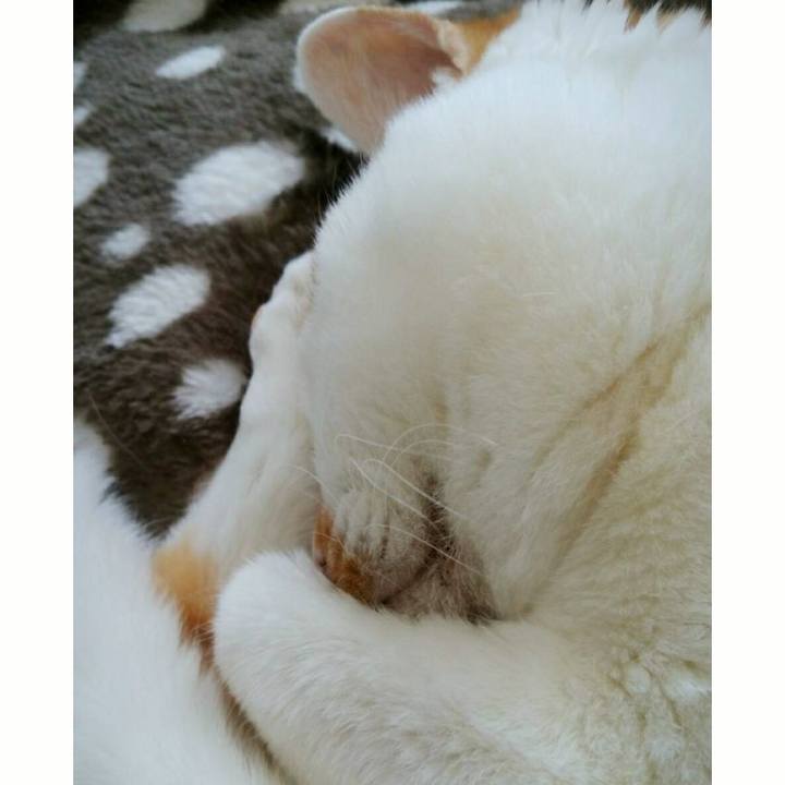 9bf60419 8744 45d5 a280 fdf6c1f1f3c1 1521452862480