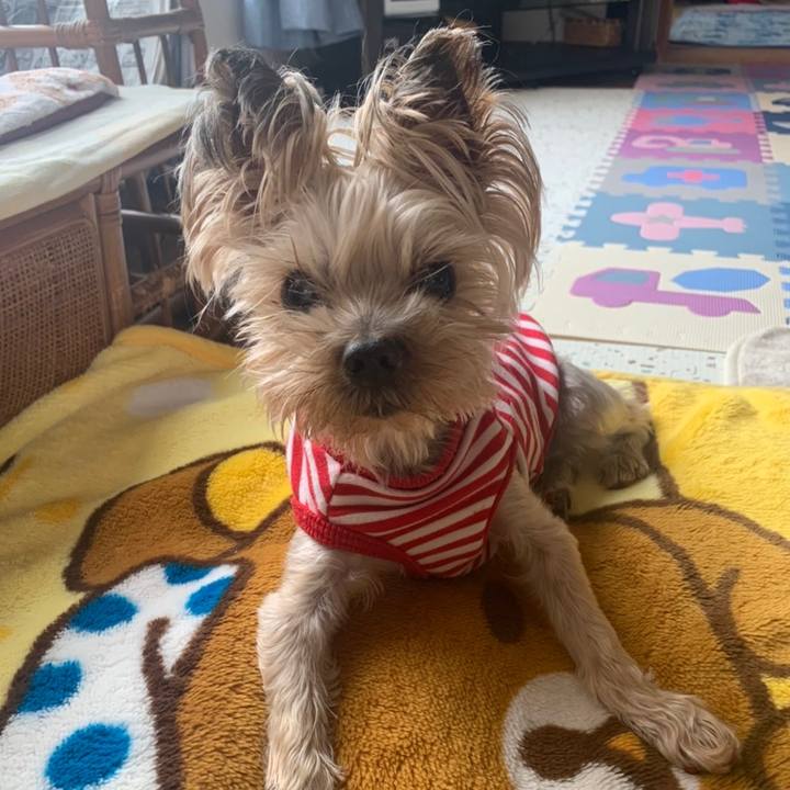 9bf6046f 42a3 477e b889 a0d3cd39515f 1668850247473