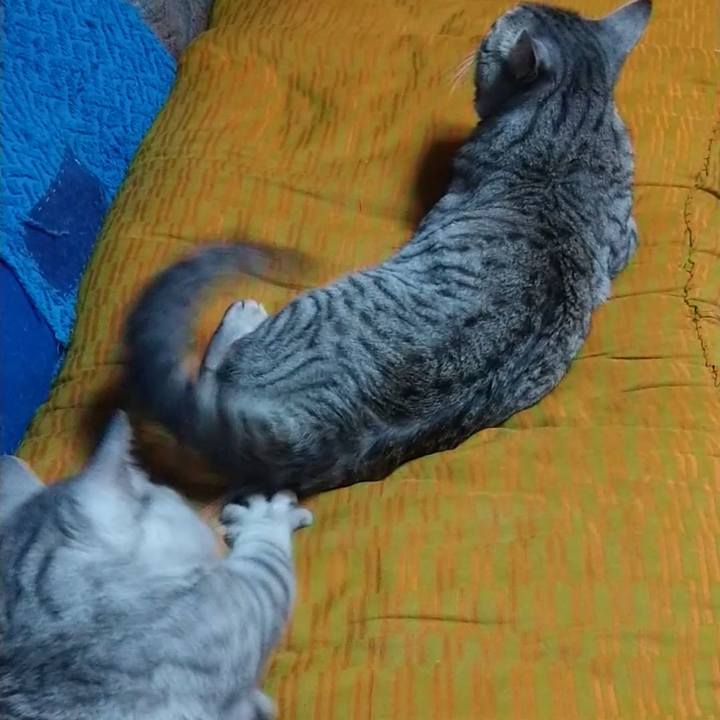 9bf6173e e2c8 4d9d 86a1 391d28b88485 1691072364639