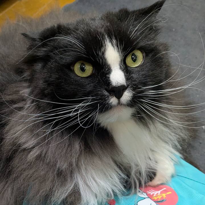 9bf637e1 9b78 4775 900c e679d4a17244 1771718668679