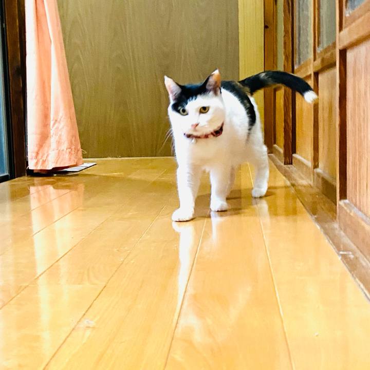 9bf64c5d 215d 4a8e 996c bdb44135d924 1685311827892