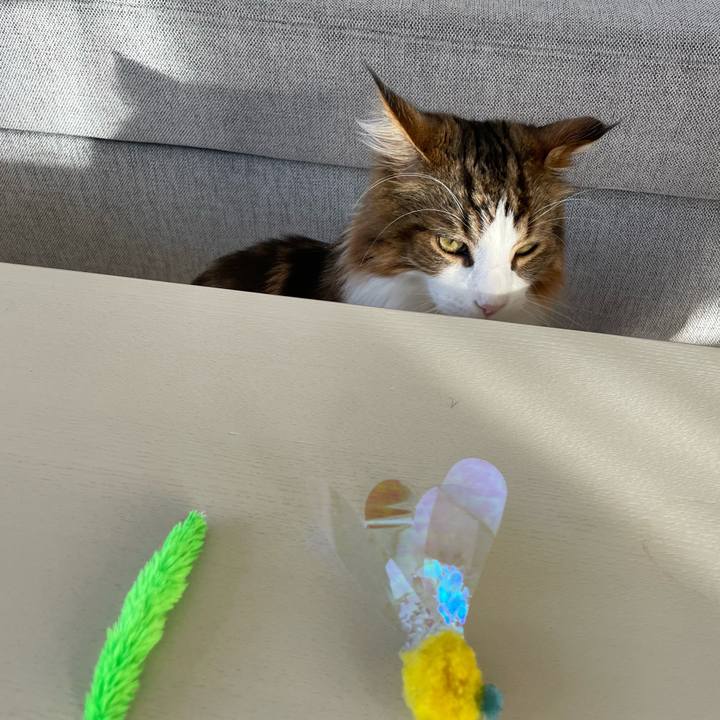 9bf67df9 3c56 47a9 8f8d 03fbc1cbe1ab 1663106108068