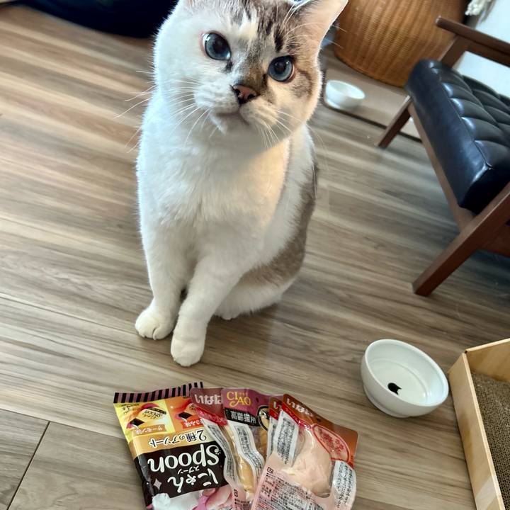 9bf68ce1 fc39 4314 93f2 9125e6660f15 1703543719250