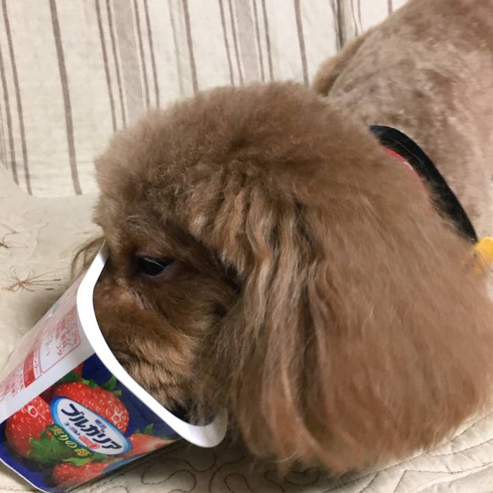 9bf6950a 66db 4f95 a09c 8cf4c6bf6000 1507792431337