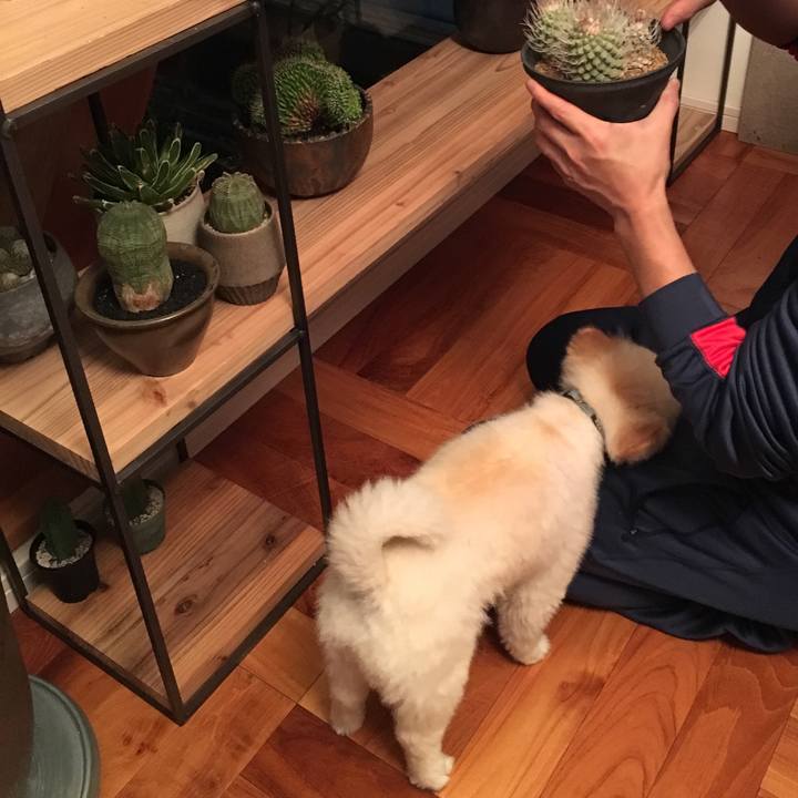 9bf699b6 98a0 4787 938f 8820e6f3525d 1555328427351