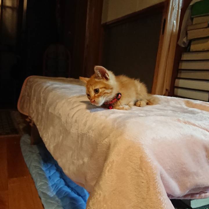 9bf6b2d8 e11d 46d1 923d 681bb2f65d85 1627990328143