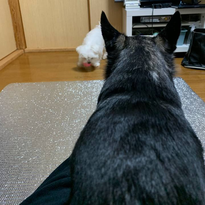 9bf6c1fe 41b6 4e6f 8b87 8940629140f4 1674268759742