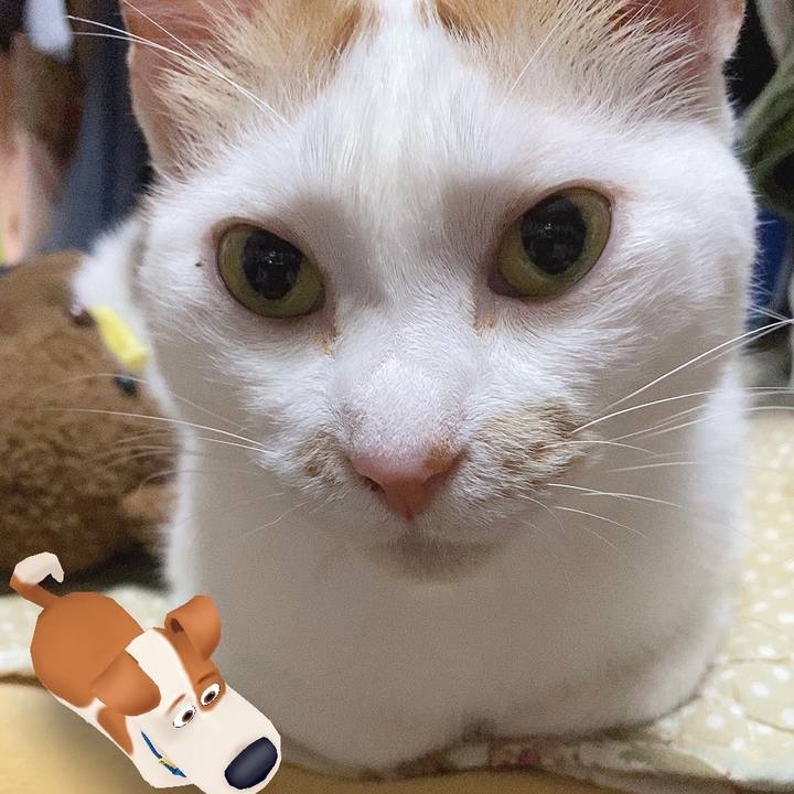 9bf6d165 5130 4cb5 8e58 189b2fbb0a02 1628941885991