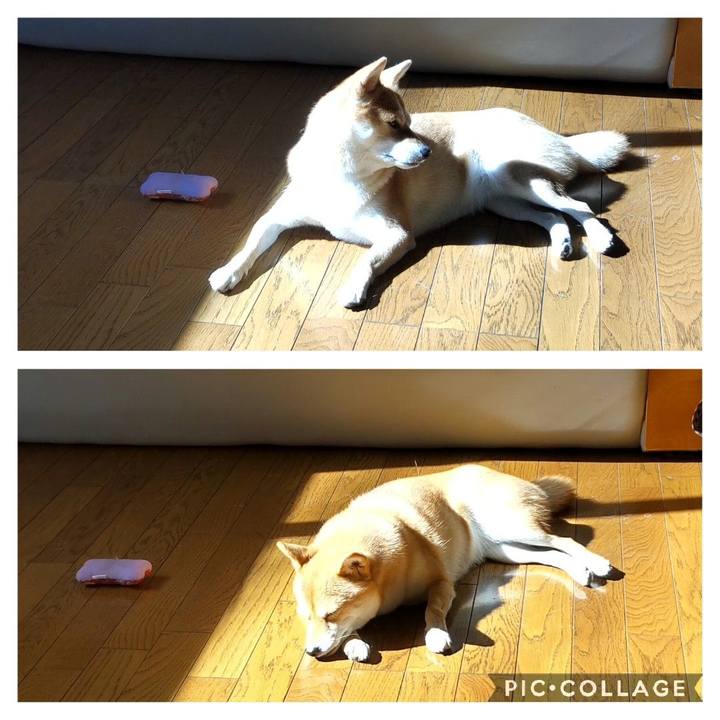 9bf6e163 cc44 45c2 a713 86877588b881 1667181199273