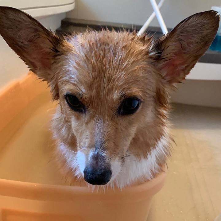 9bf6f106 5b51 49c6 9027 41f6f0459719 1563012773225