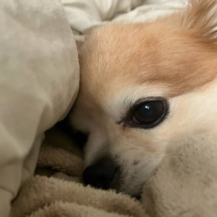 9bf6f683 0379 4c53 a4c8 65a9220542d6 1755560127501