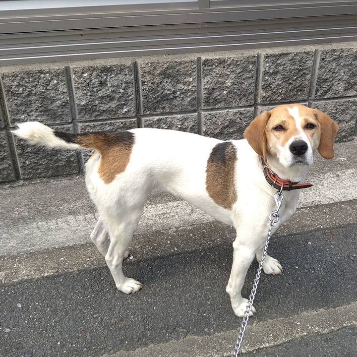 9bf72491 2ca5 4ce6 965a 00302ce691c0 1624425614969