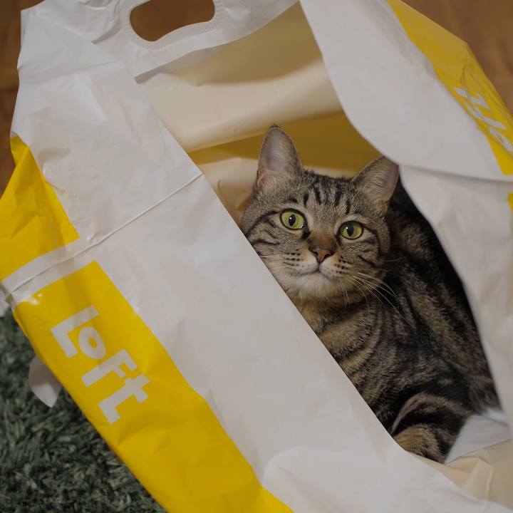 9bf77fcd 6384 4601 9fb8 cca670b57aee 1559962177618