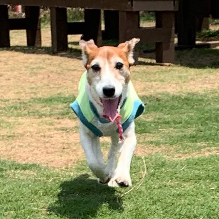 9bf79d6c 3e69 4e13 ada1 980bf23b393a 1561471554215