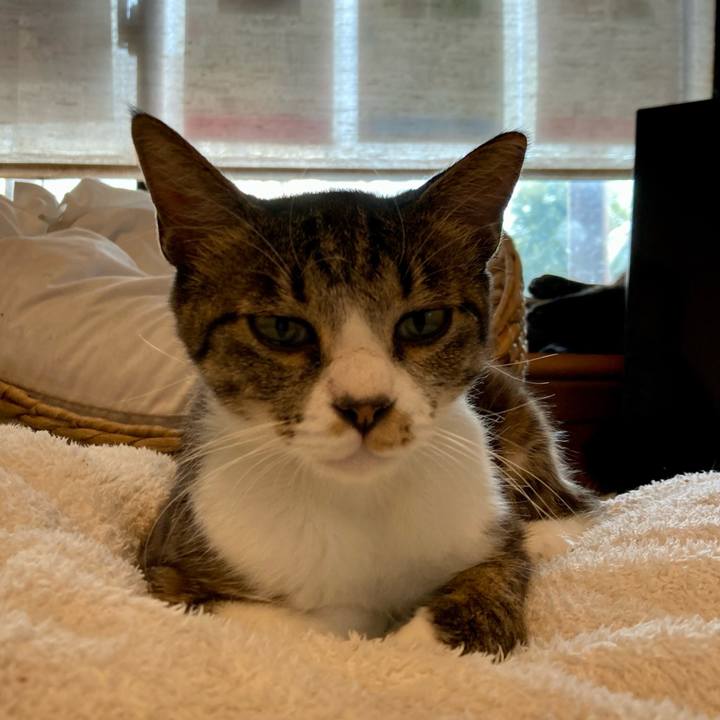 9bf7c6ea e73a 4df8 824f 887666e233f7 1690380680521