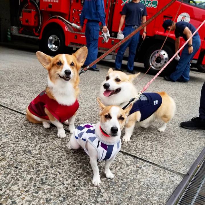 9bf7eb03 0218 4eee b5d3 6da32b560c64 1572047316980