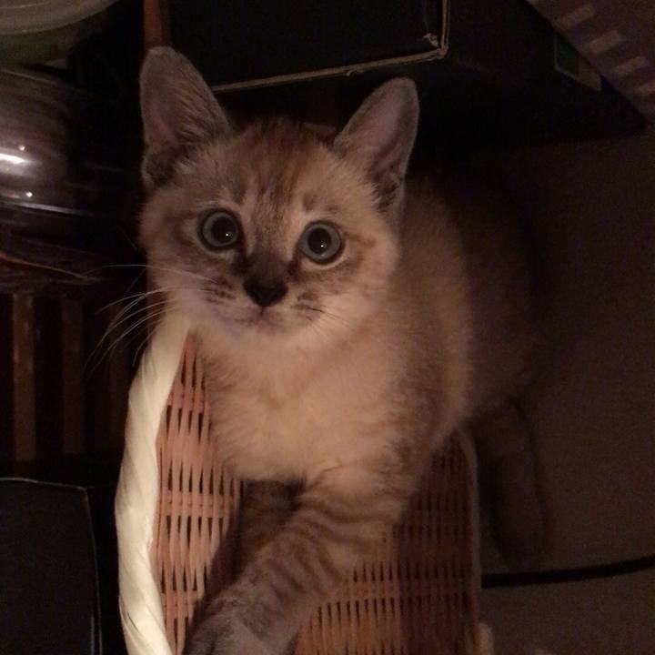 9bf80066 e92c 41a7 8f46 6676335a3d16 1532071162448