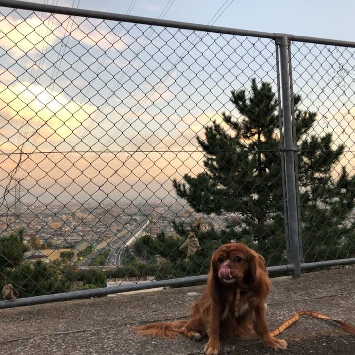 9bf8152d 3aca 42e5 a5a7 599361bb2ac8 1605708710087