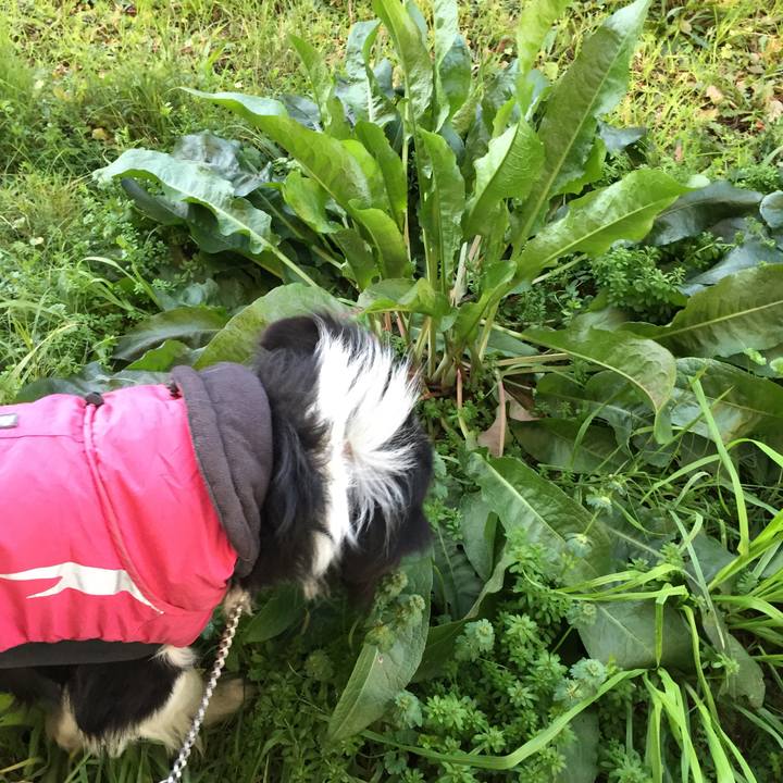 9bf823ff 0f59 48a3 aabe 0f2e96b0517d 1546668245541