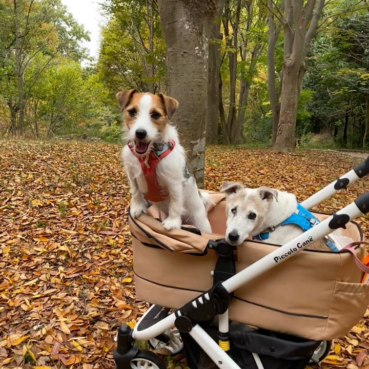 9bf85946 f505 4f54 9842 cb34896e646d 1731835701547