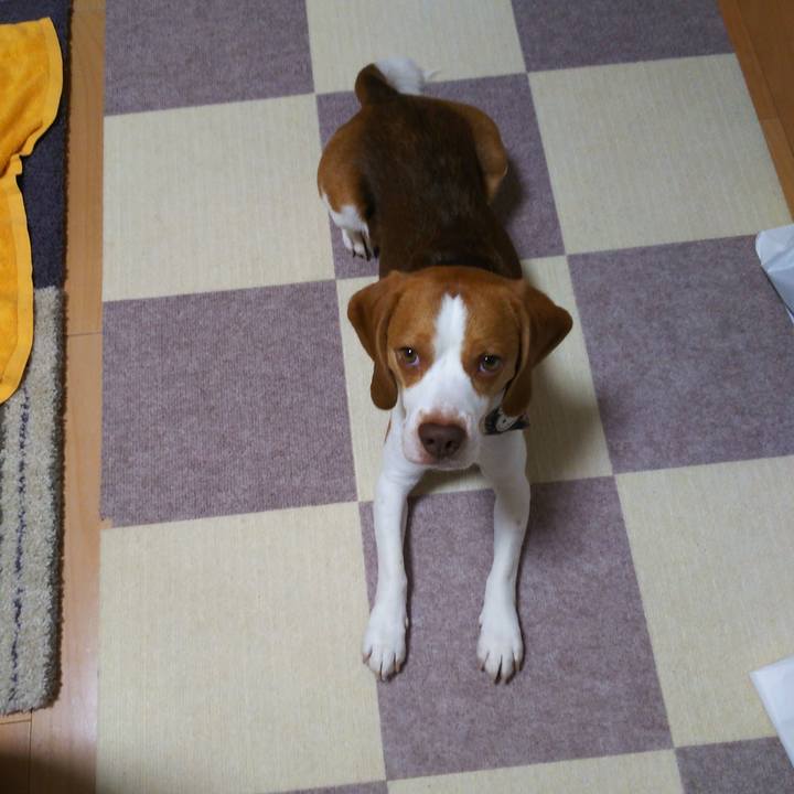 9bf897bd d838 405a 98f9 01ffba860afb 1566907752267