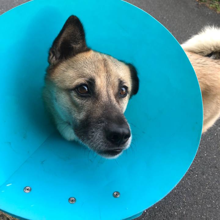 9bf8df0f ac20 487b 9365 8ecbc16dbfc5 1636024782892