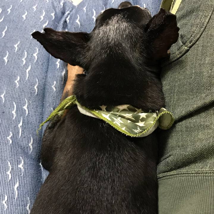 9bf8ec5e 4e07 4536 b1fb f98950dc3b05 1538910606667