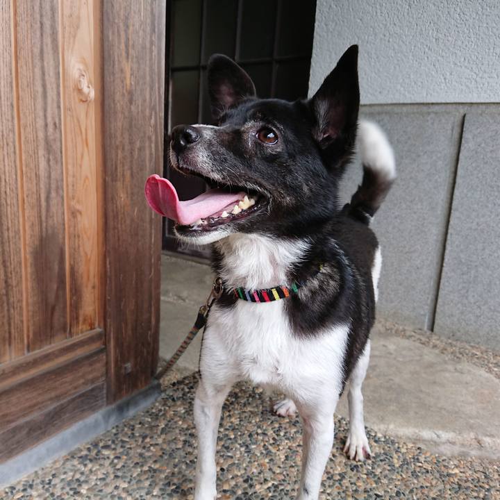 9bf8f47e 8689 4bfc be18 474acecf1c84 1560653636229