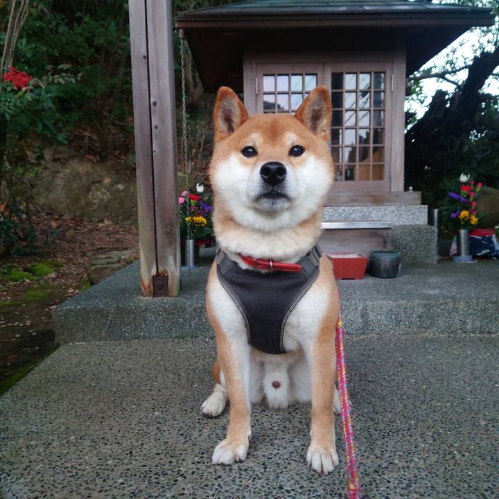 9bf998c9 1752 474a 9d43 72f5c8560d69 1772421886329