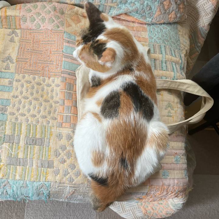 9bf99a31 e23a 47ac 8d2c 3f8022a6801a 1660962233075