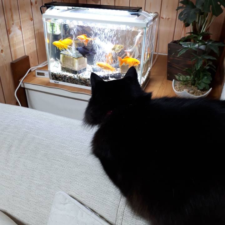 9bf9d7e9 1ca0 4d3e 9298 cfbc445c8c2c 1518728421152