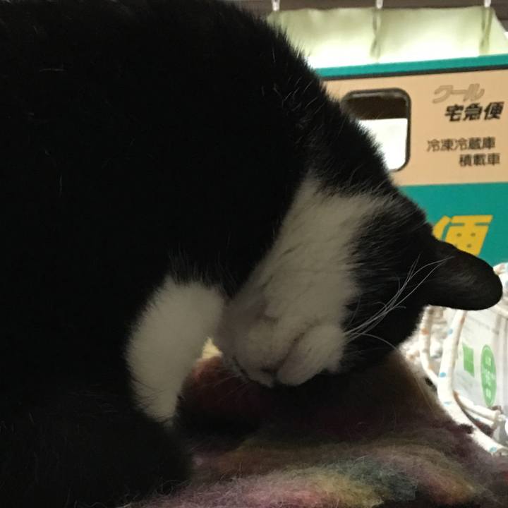 9bf9de00 b109 4556 a84b 0a0d0a900e2b 1560605141666