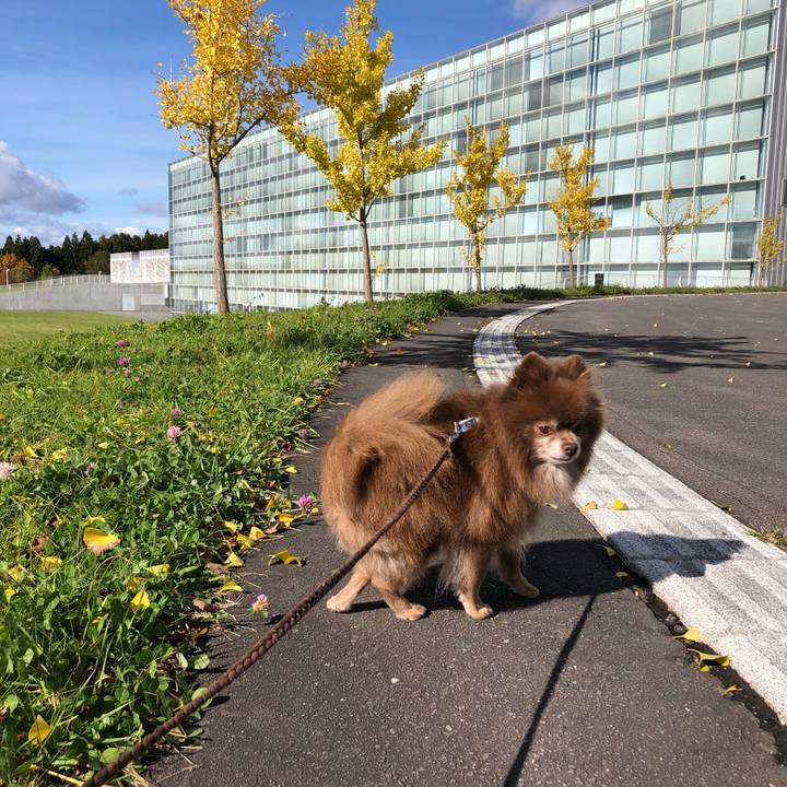 9bfa068e 627b 4c55 8396 9b23088d1390 1604027678675