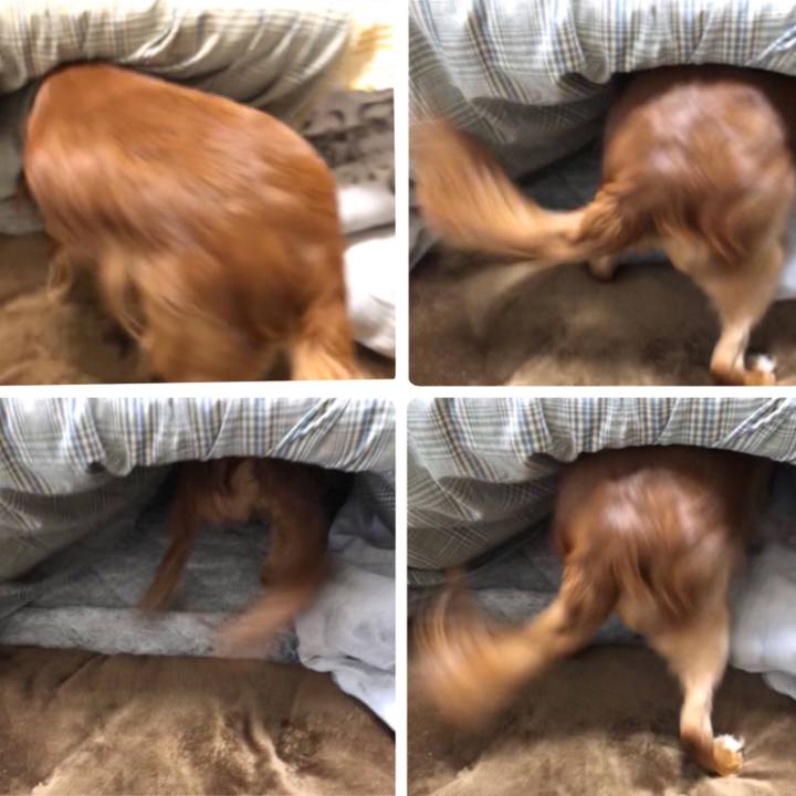 9bfa108f 6e9f 450e bc40 e2581d09e224 1548674273328