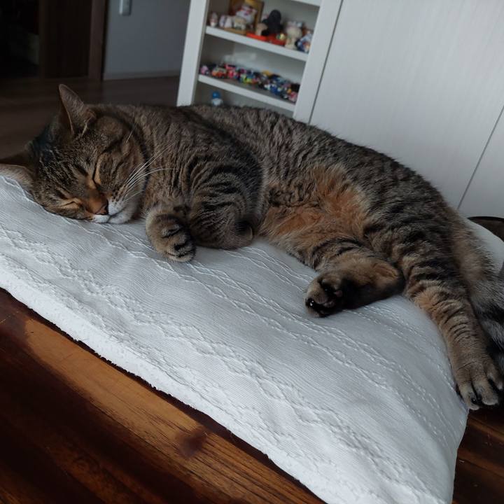 9bfa2622 4d61 49b9 8a26 90112040796c 1658726151331