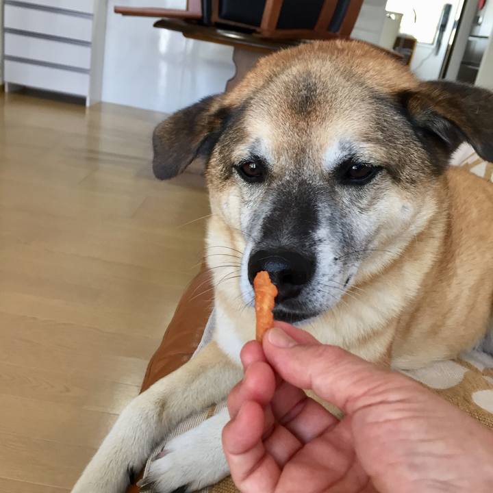 9bfa3b13 ad44 4176 8888 3a33d7647ed3 1567387343150