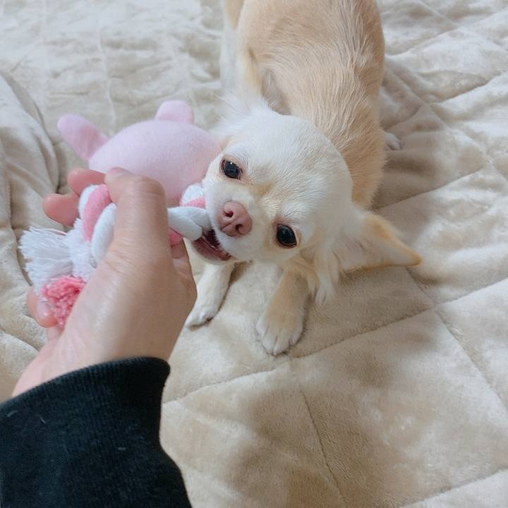 9bfa495c 89ea 4d22 8c15 04feffdbc4c9 1613446727531