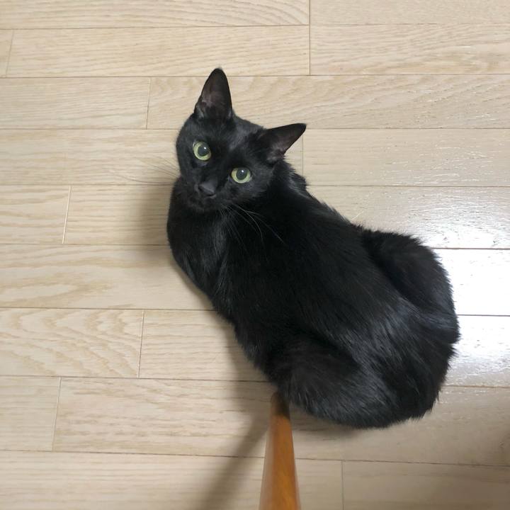 9bfa7897 a7f6 4c24 b602 827a0c540654 1628845823528