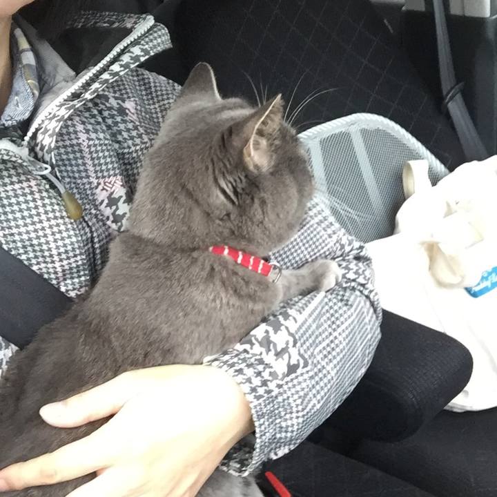 9bfaa6d4 d6ef 4fa7 b3b9 a49ec2c0efc9 1540666537868