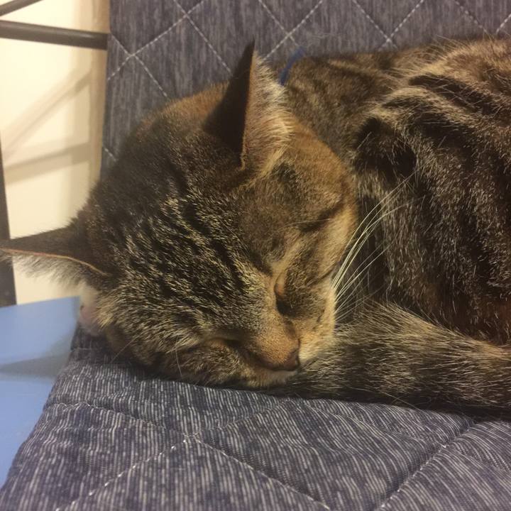 9bfad661 a3de 46fa 9f03 abca2ad167e1 1559403547495