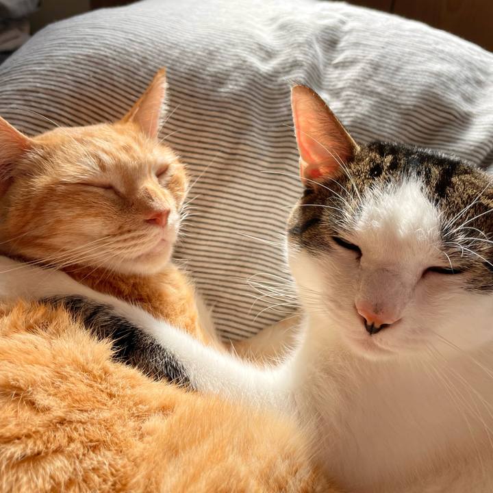 9bfaf239 2144 4c12 b5ba 5728df68c8bb 1768022718664