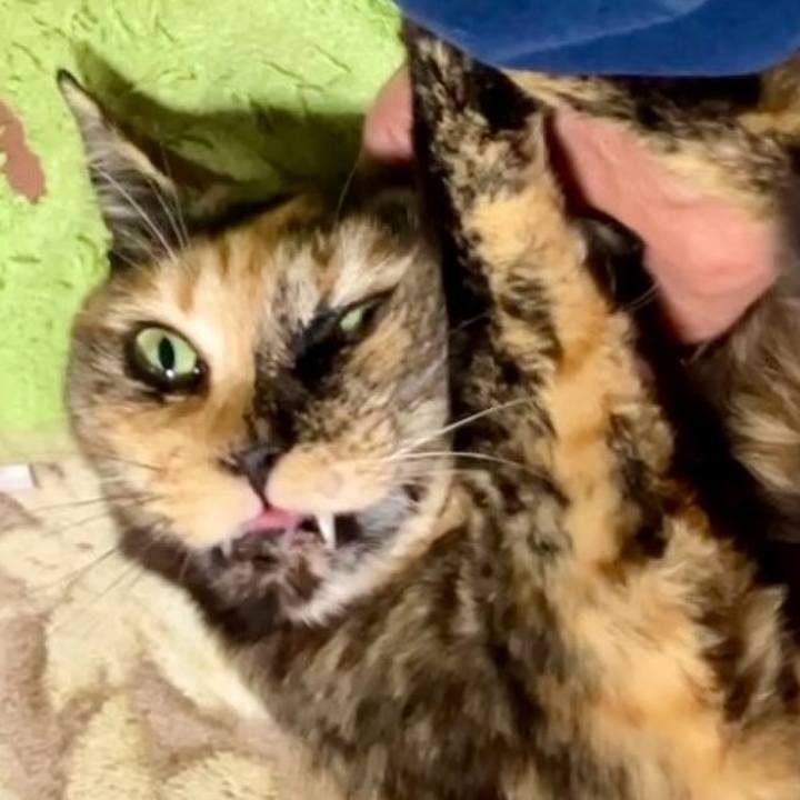 9bfaf303 dff8 4a72 92d8 49d590b99ace 1738237447220